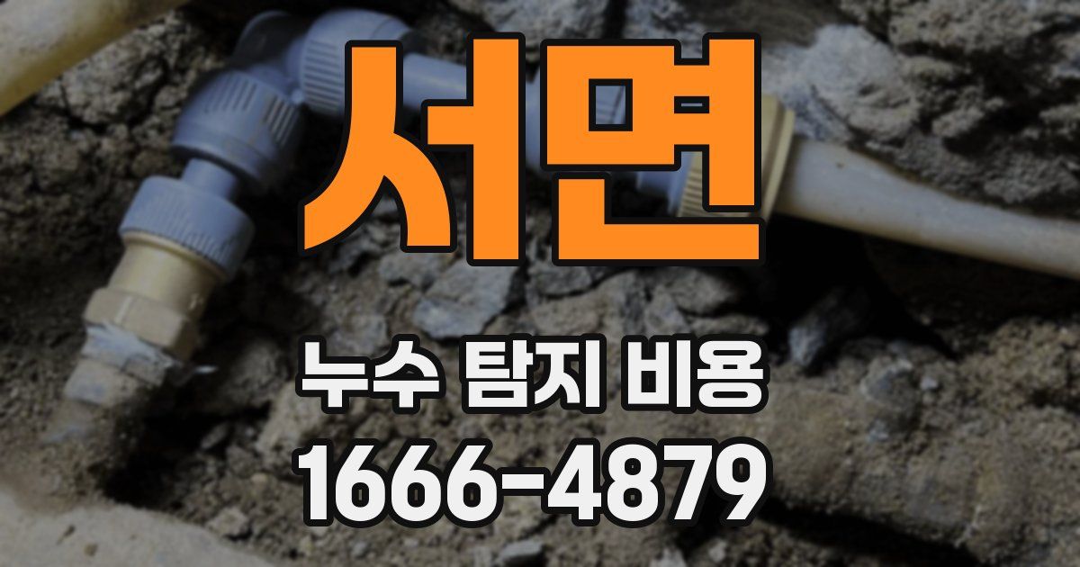 서면 누수 탐지 비용