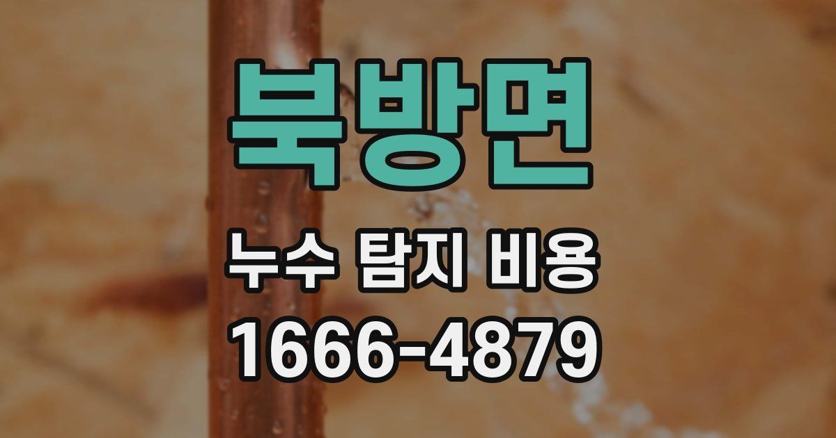 북방면 누수 탐지 비용