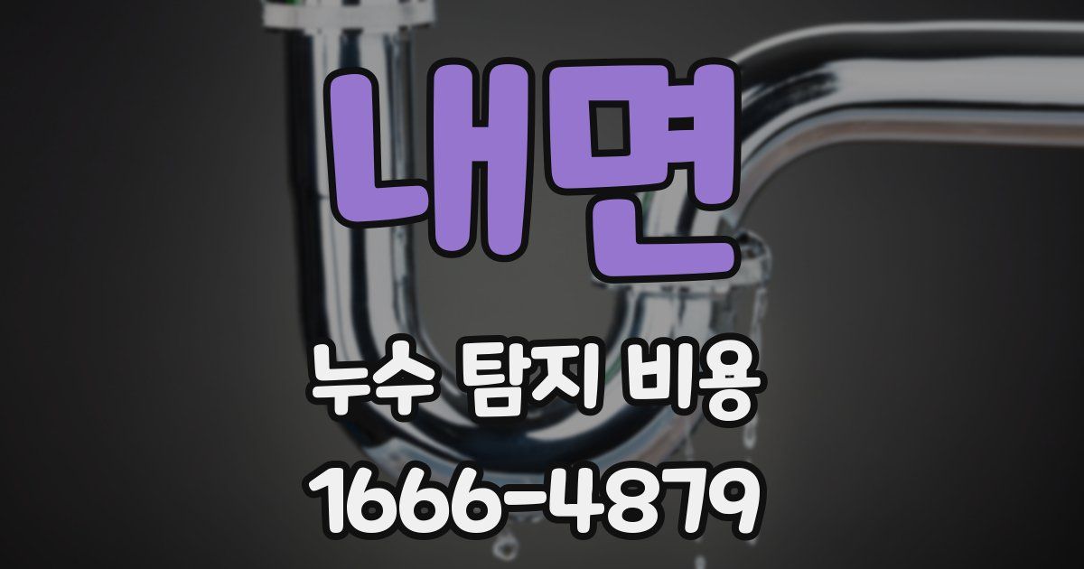 내면 누수 탐지 비용