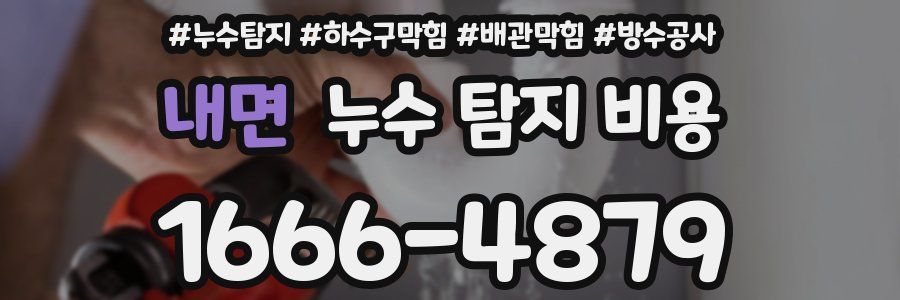 내면 누수 탐지 비용