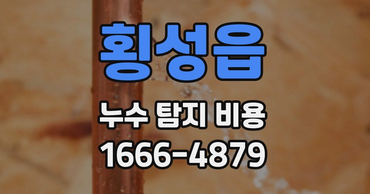 횡성읍 누수 탐지 비용