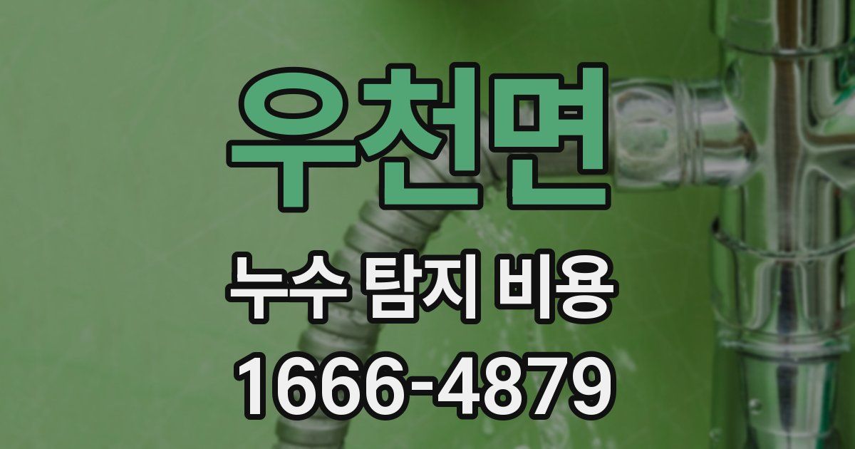 우천면 누수 탐지 비용