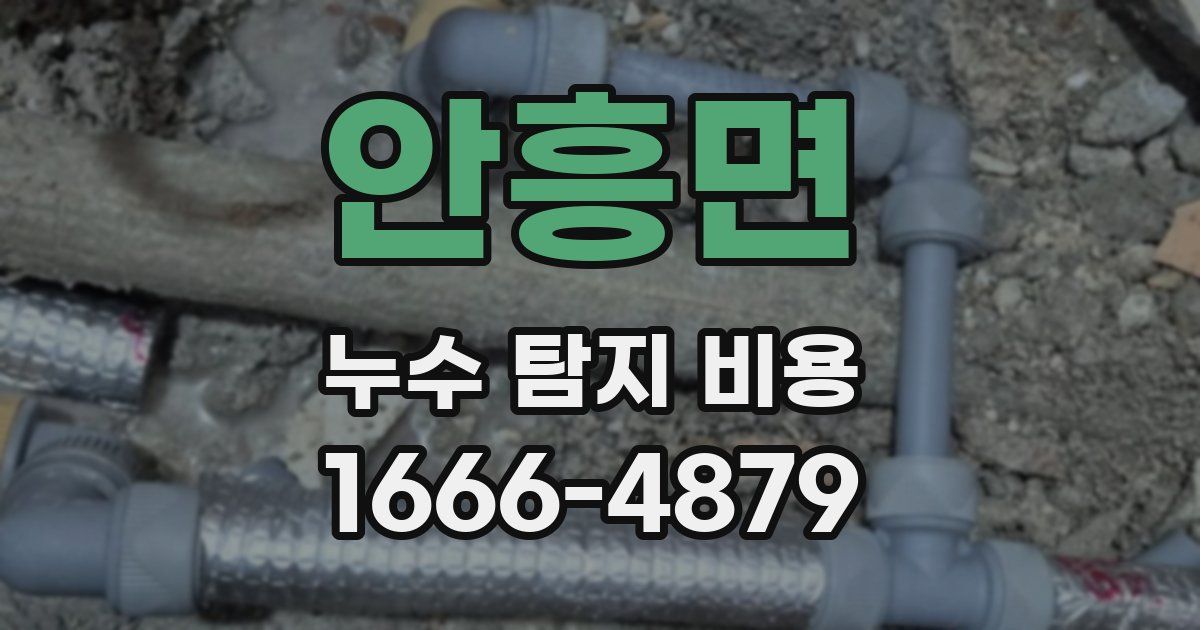 안흥면 누수 탐지 비용