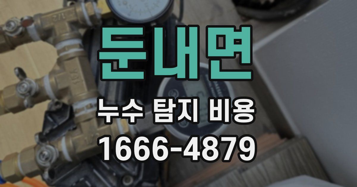 둔내면 누수 탐지 비용