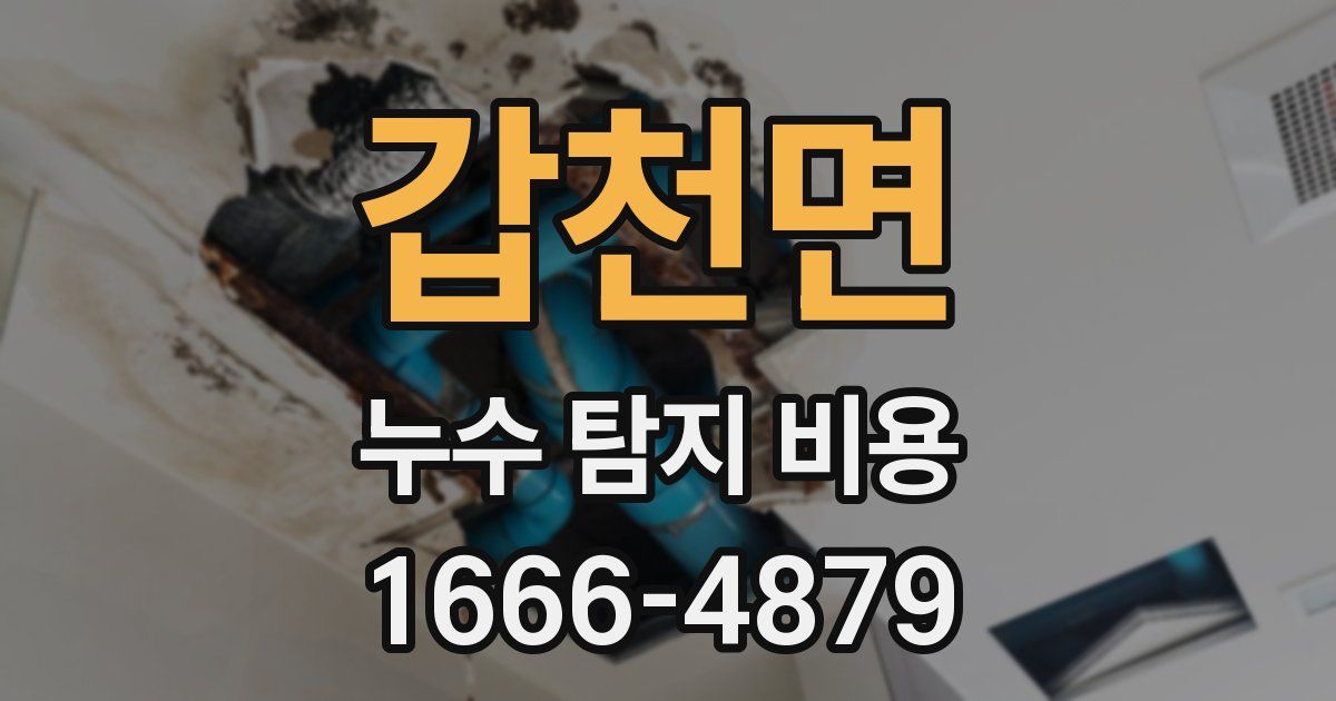 갑천면 누수 탐지 비용