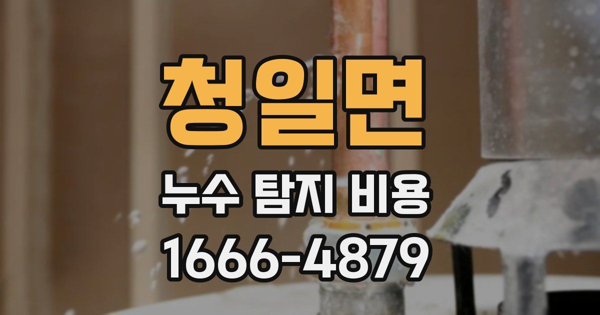 청일면 누수 탐지 비용