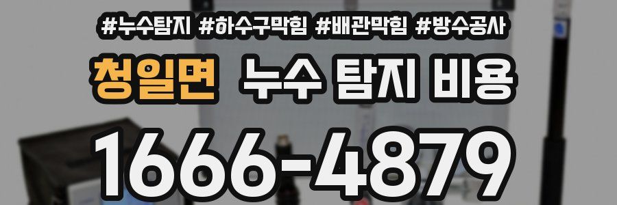 청일면 누수 탐지 비용