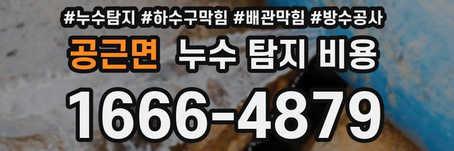 공근면 누수 탐지 비용