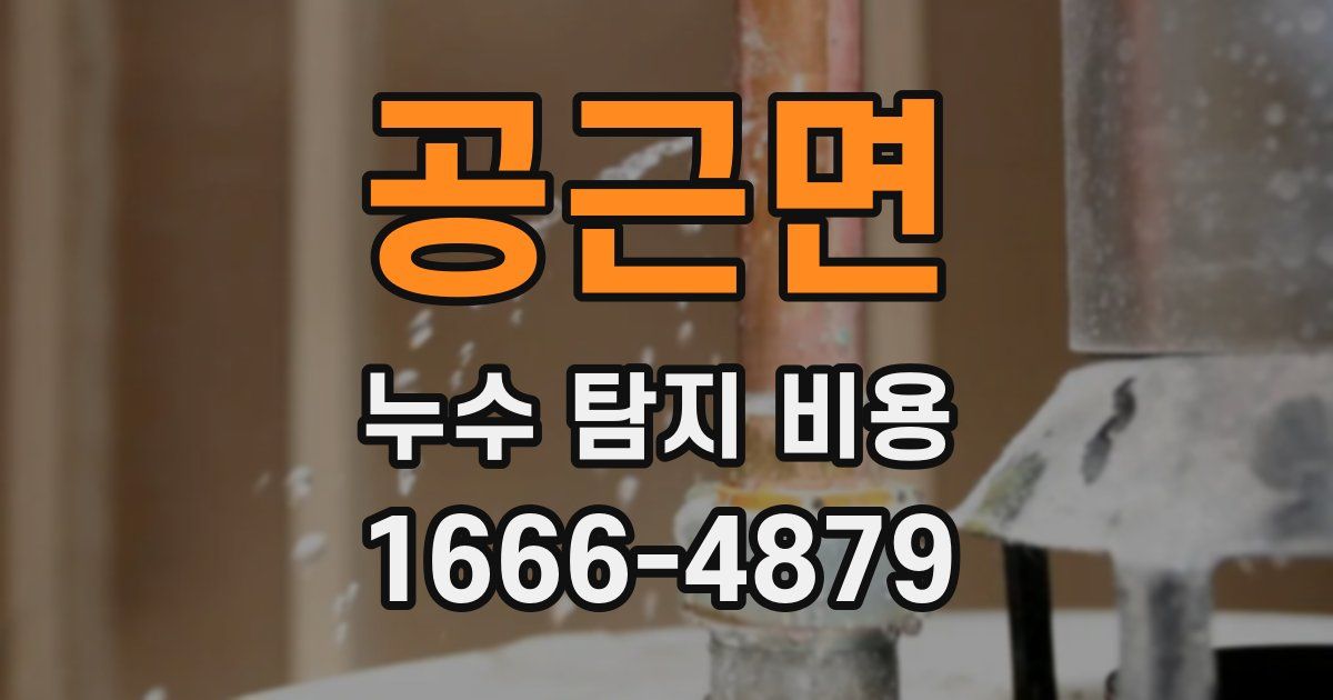 공근면 누수 탐지 비용