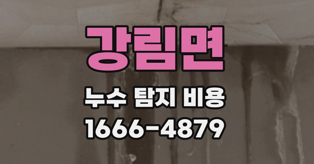 강림면 누수 탐지 비용