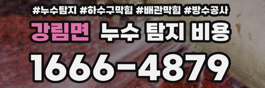 강림면 누수 탐지 비용