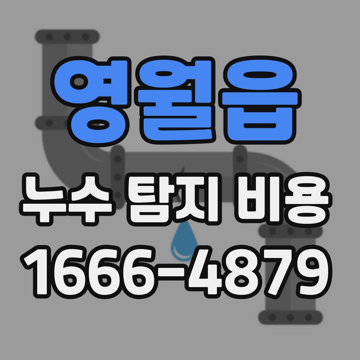영월읍 누수 탐지 비용