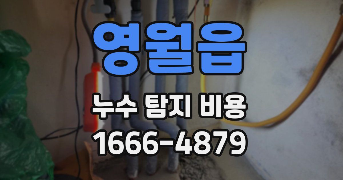 영월읍 누수 탐지 비용