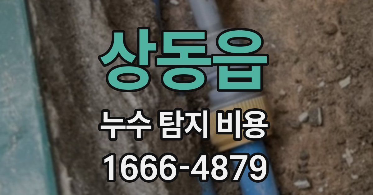 상동읍 누수 탐지 비용