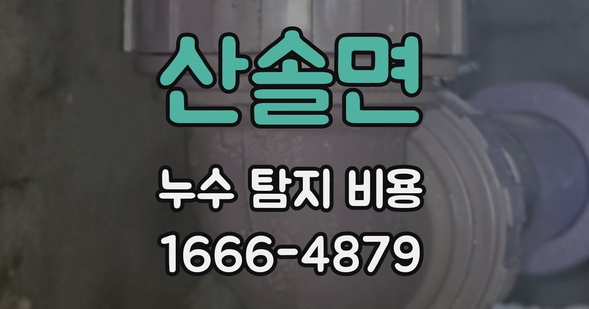 산솔면 누수 탐지 비용