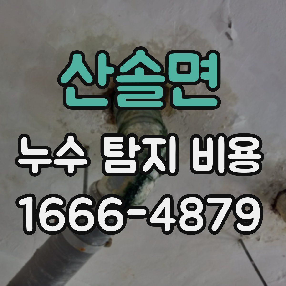 산솔면 누수 탐지 비용