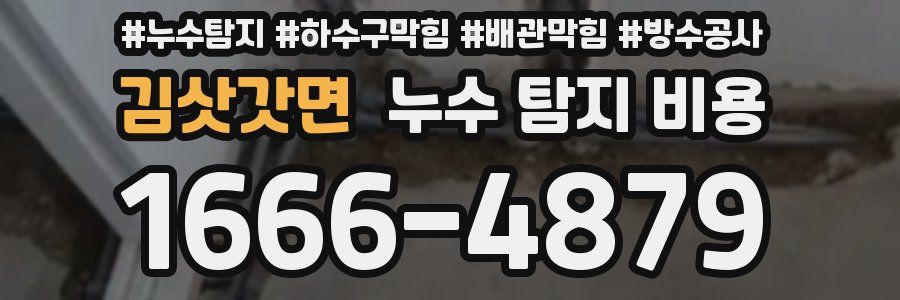 김삿갓면 누수 탐지 비용