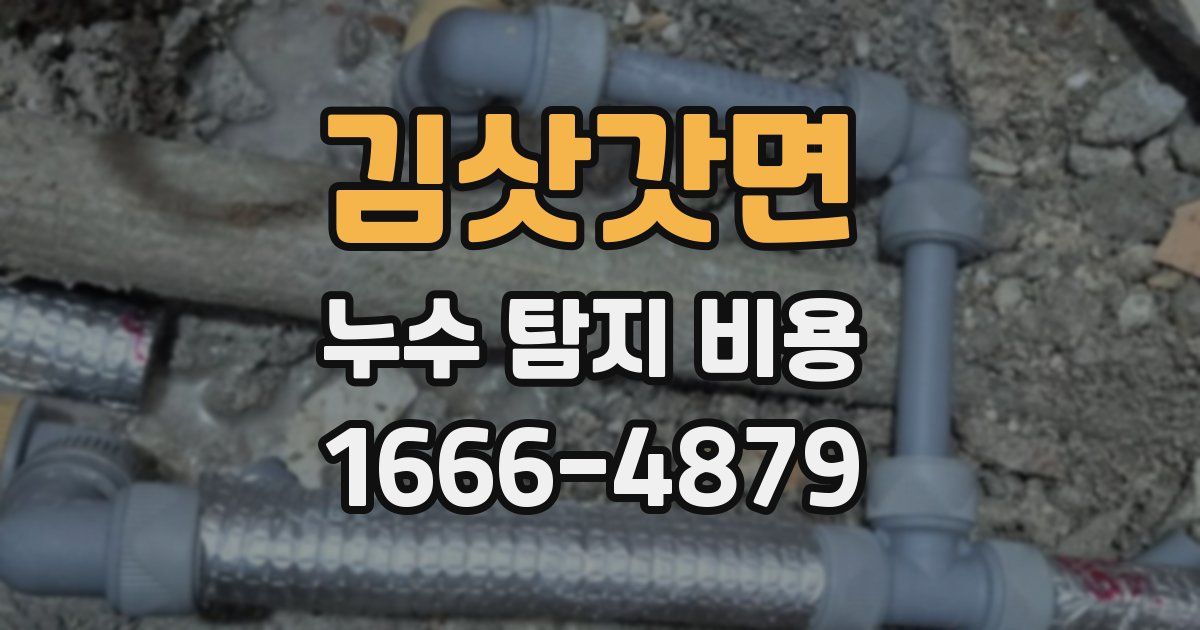 김삿갓면 누수 탐지 비용