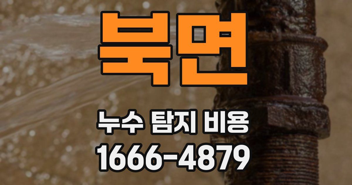 북면 누수 탐지 비용