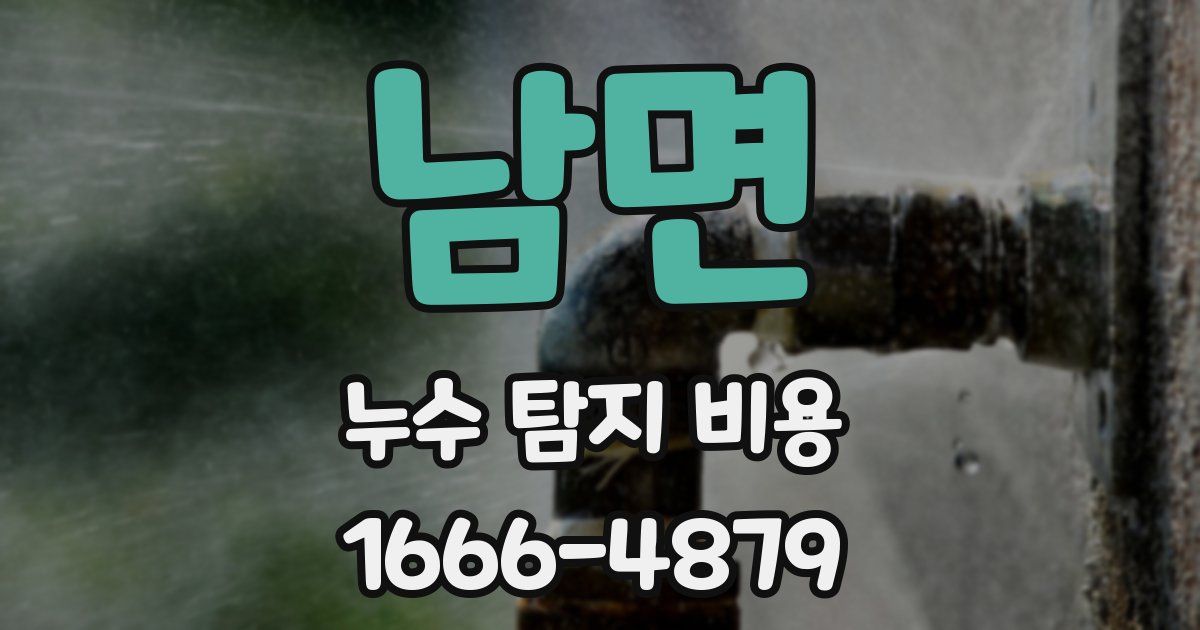 남면 누수 탐지 비용