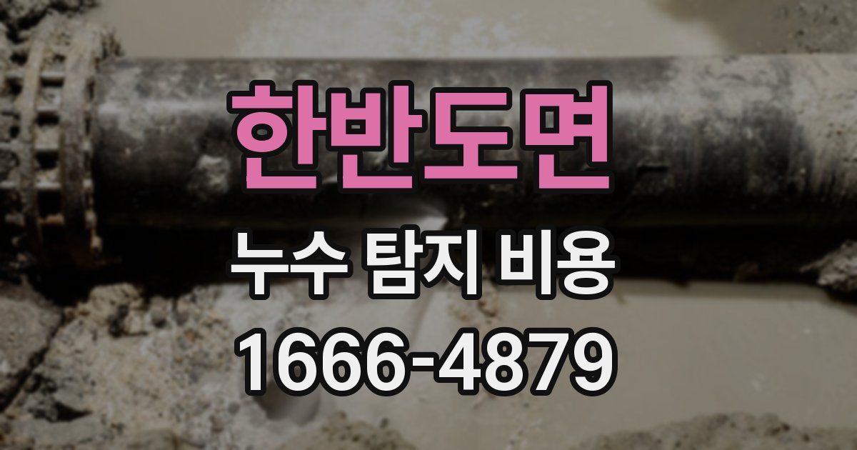 한반도면 누수 탐지 비용