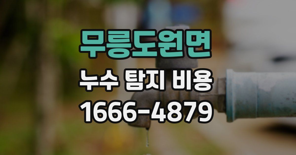 무릉도원면 누수 탐지 비용