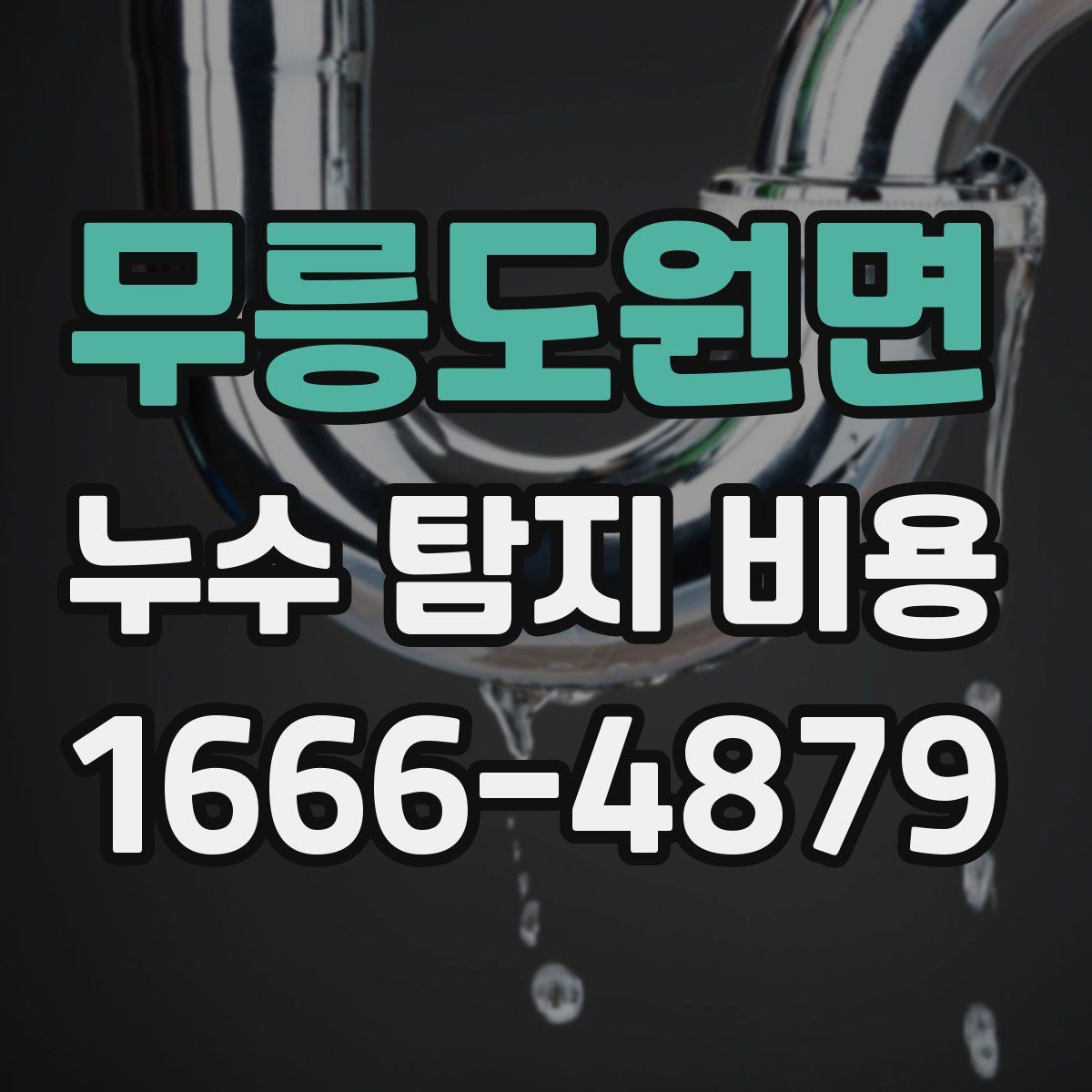 무릉도원면 누수 탐지 비용
