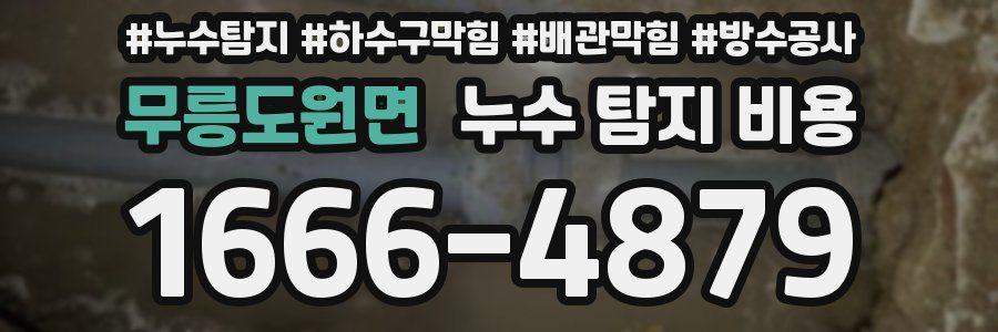 무릉도원면 누수 탐지 비용