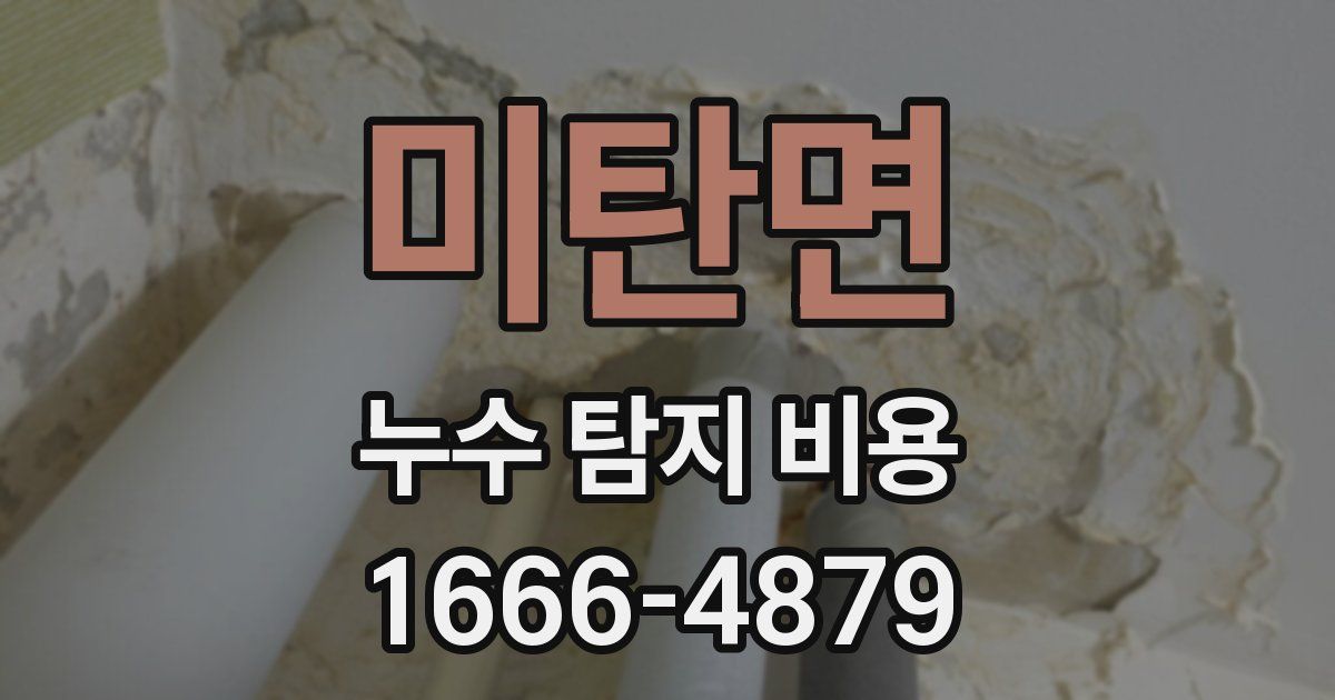 미탄면 누수 탐지 비용