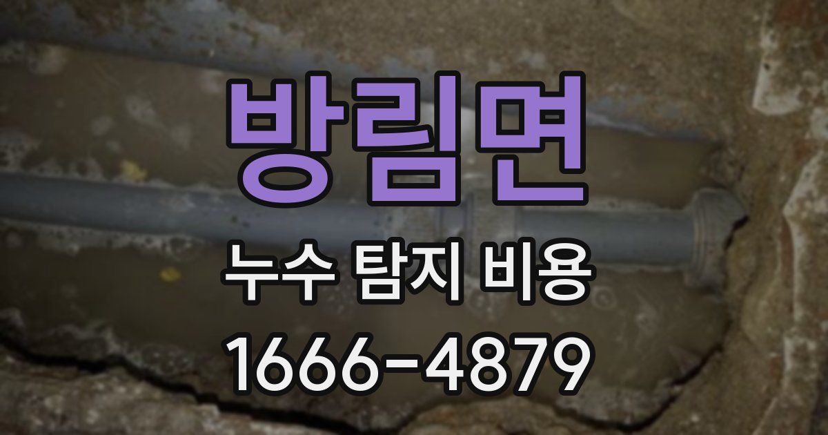 방림면 누수 탐지 비용