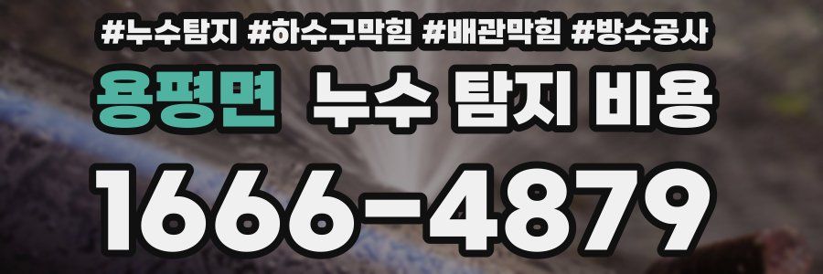 용평면 누수 탐지 비용
