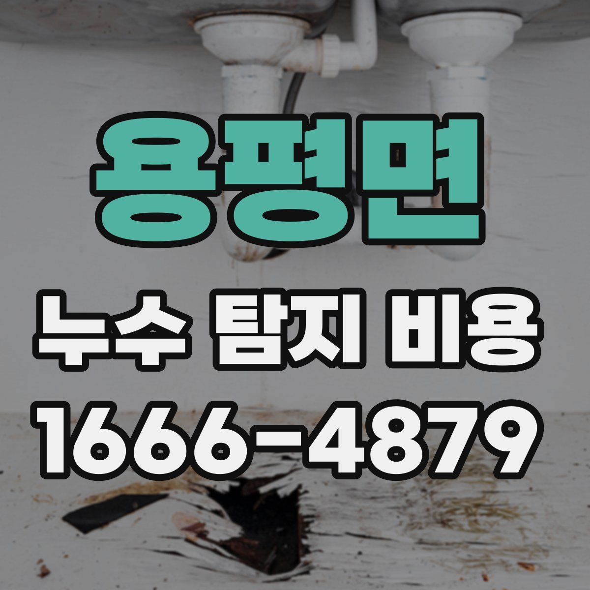 용평면 누수 탐지 비용