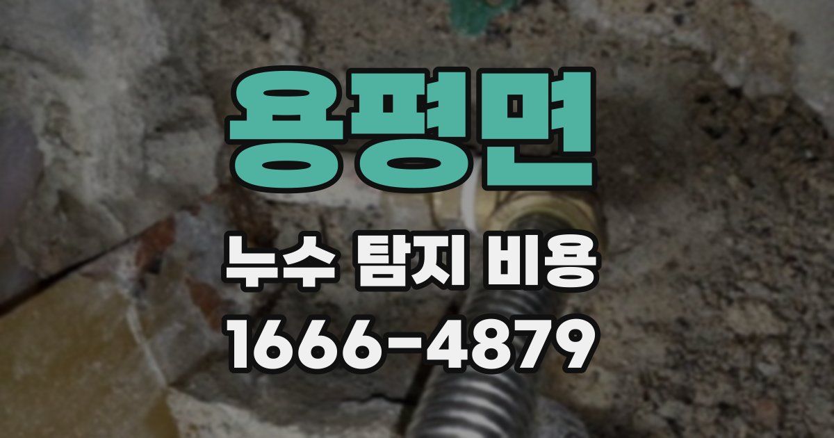 용평면 누수 탐지 비용