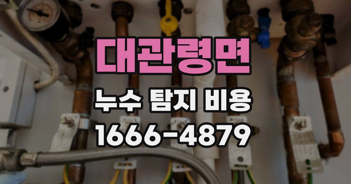 대관령면 누수 탐지 비용