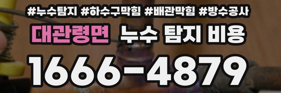 대관령면 누수 탐지 비용