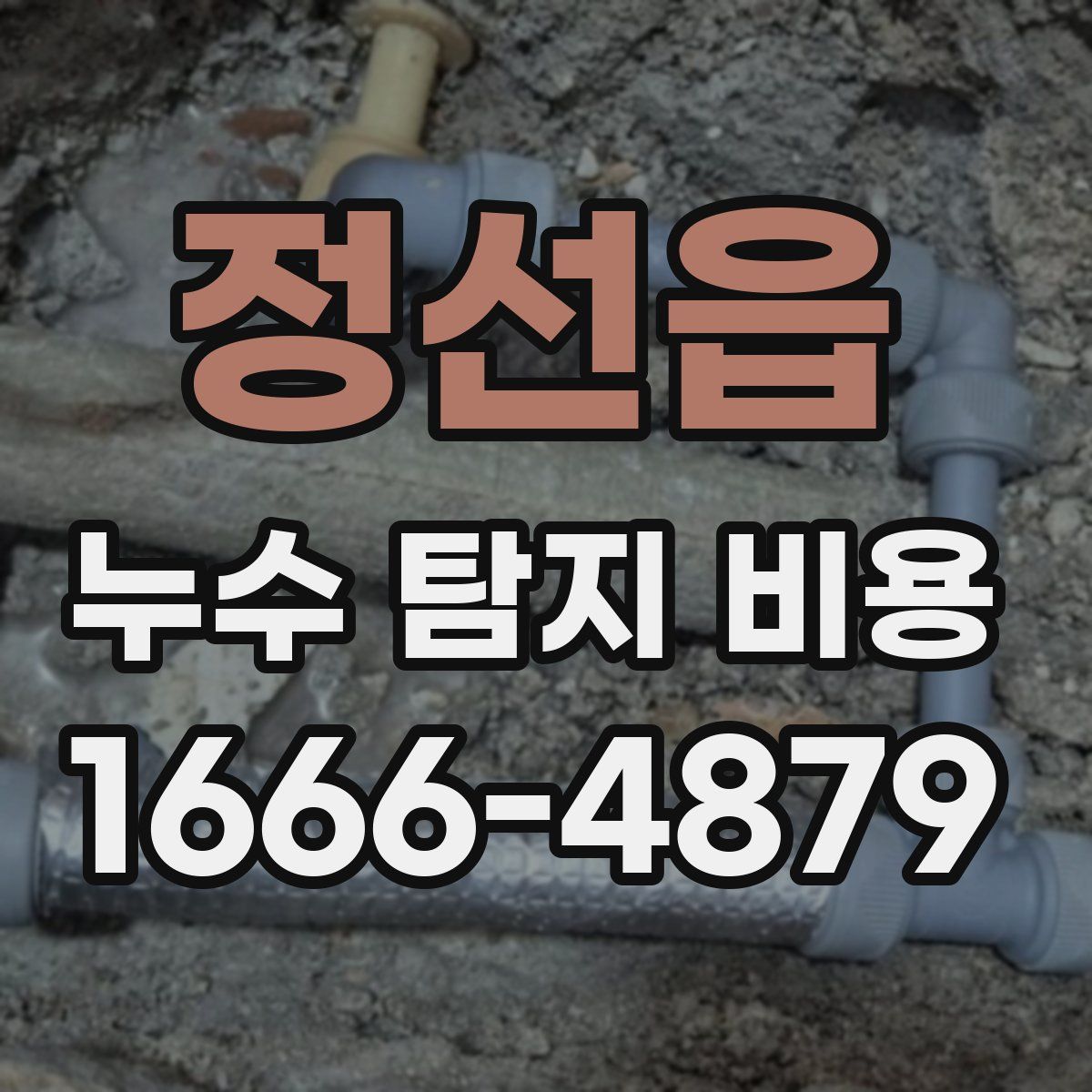 정선읍 누수 탐지 비용