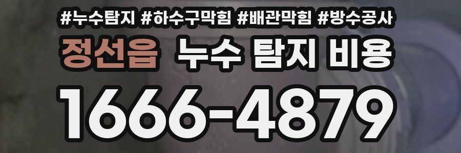 정선읍 누수 탐지 비용