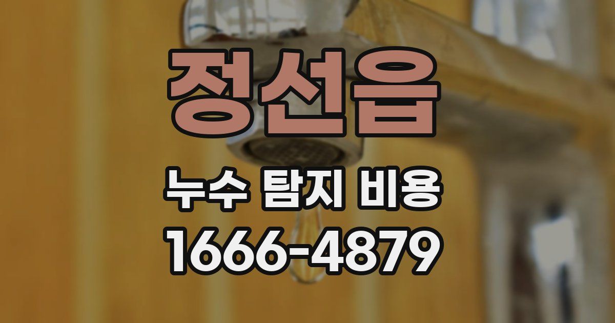 정선읍 누수 탐지 비용