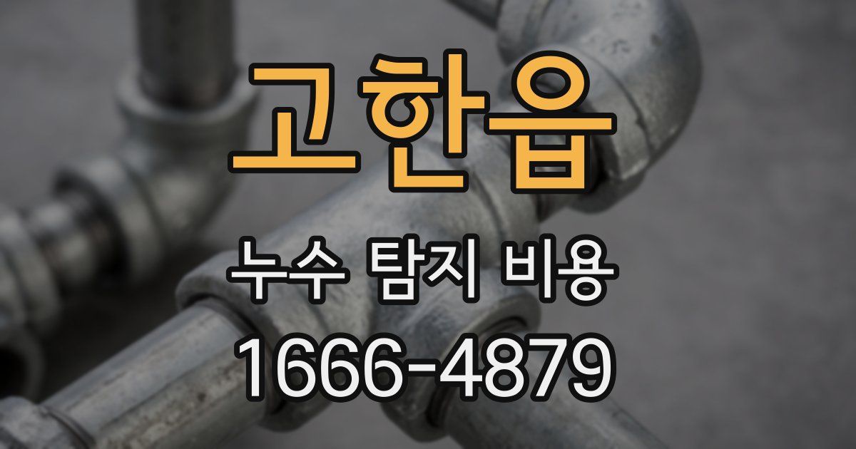 고한읍 누수 탐지 비용