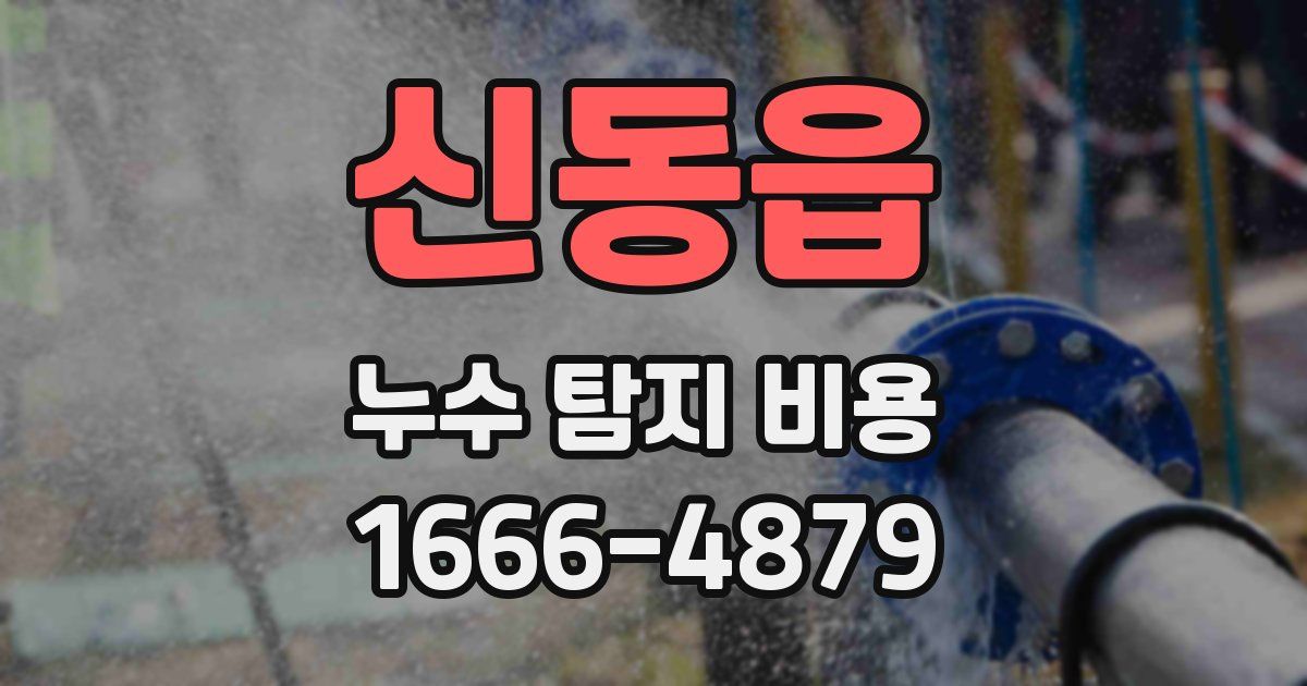신동읍 누수 탐지 비용