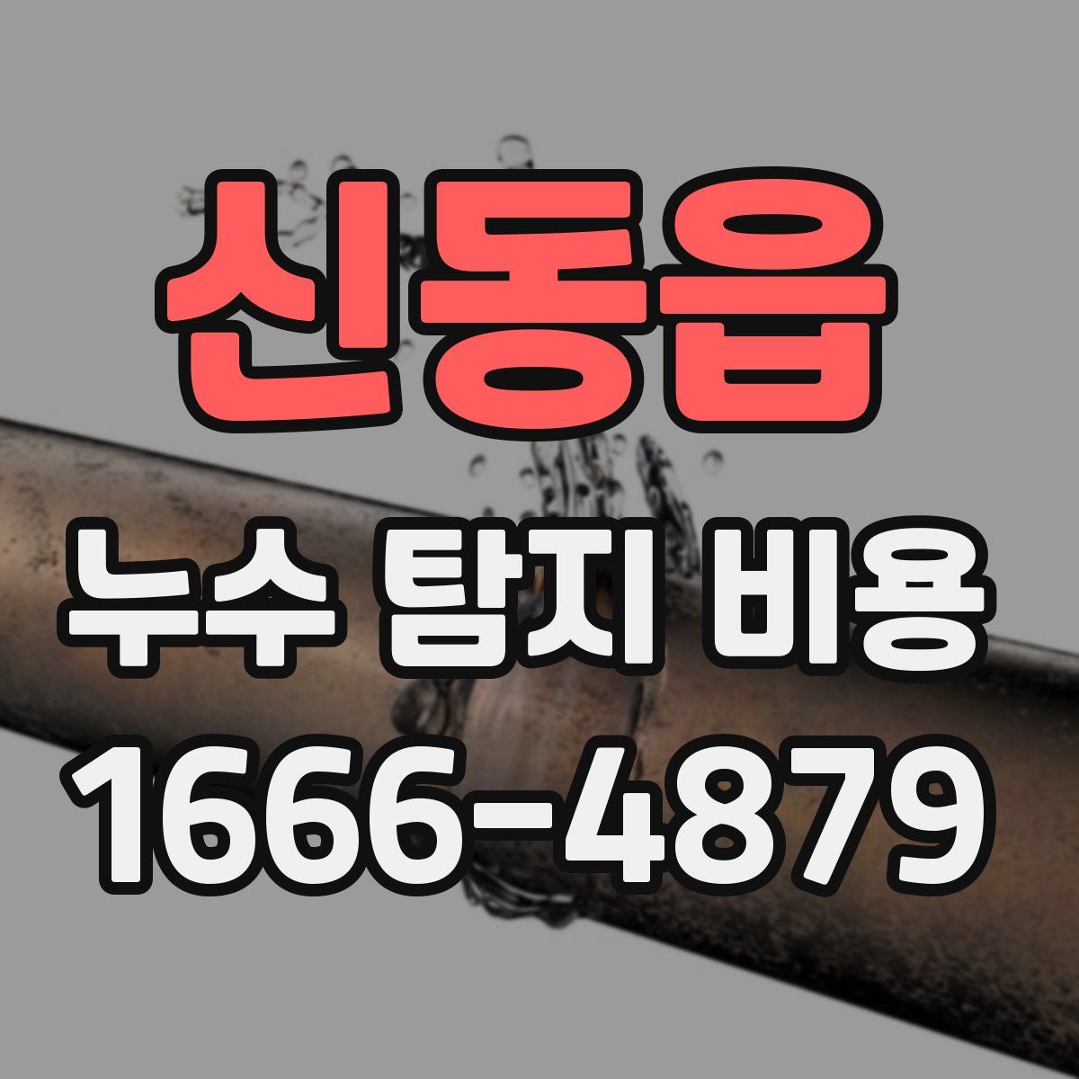 신동읍 누수 탐지 비용