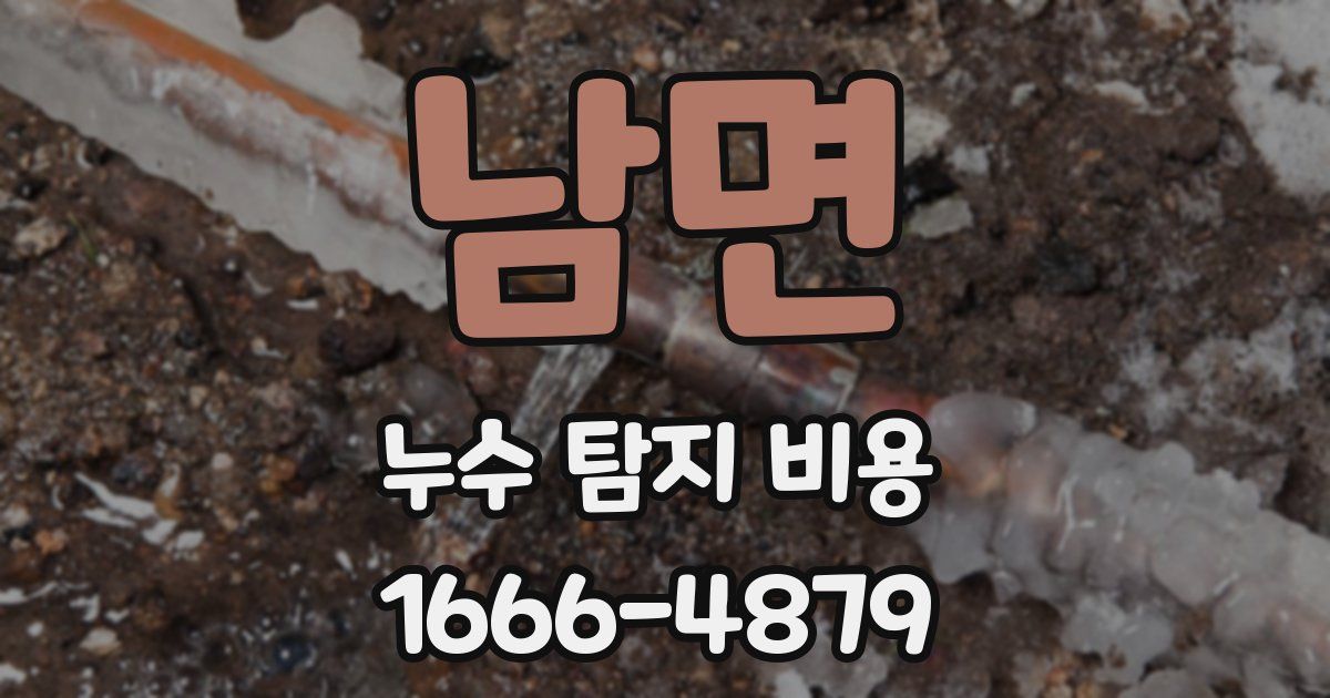 남면 누수 탐지 비용