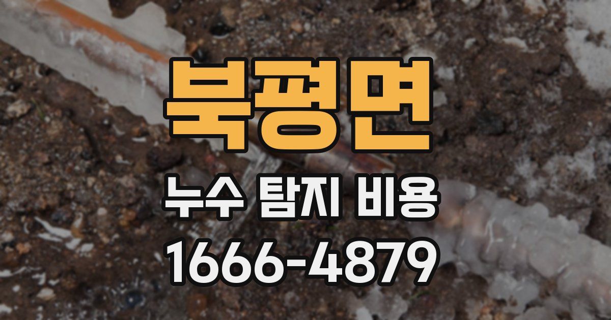북평면 누수 탐지 비용
