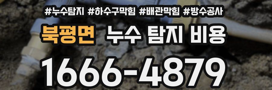 북평면 누수 탐지 비용