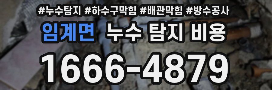임계면 누수 탐지 비용
