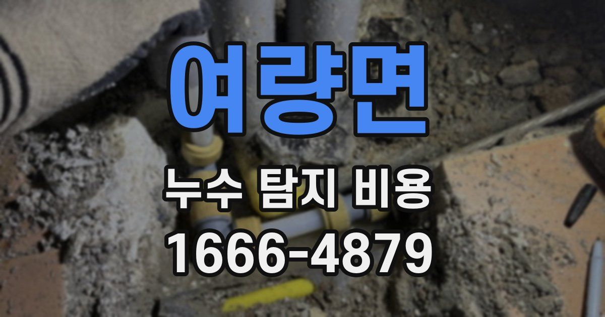 여량면 누수 탐지 비용