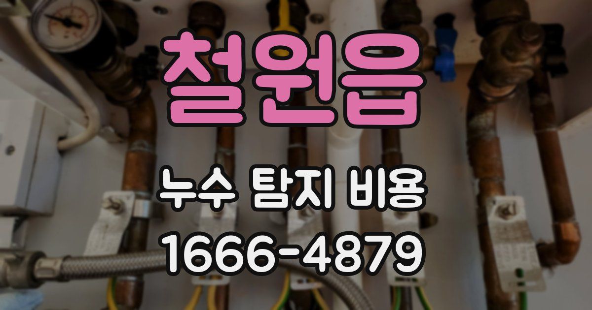 철원읍 누수 탐지 비용