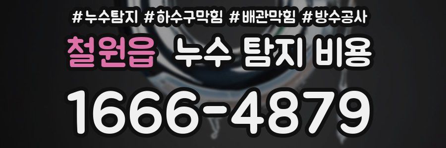 철원읍 누수 탐지 비용