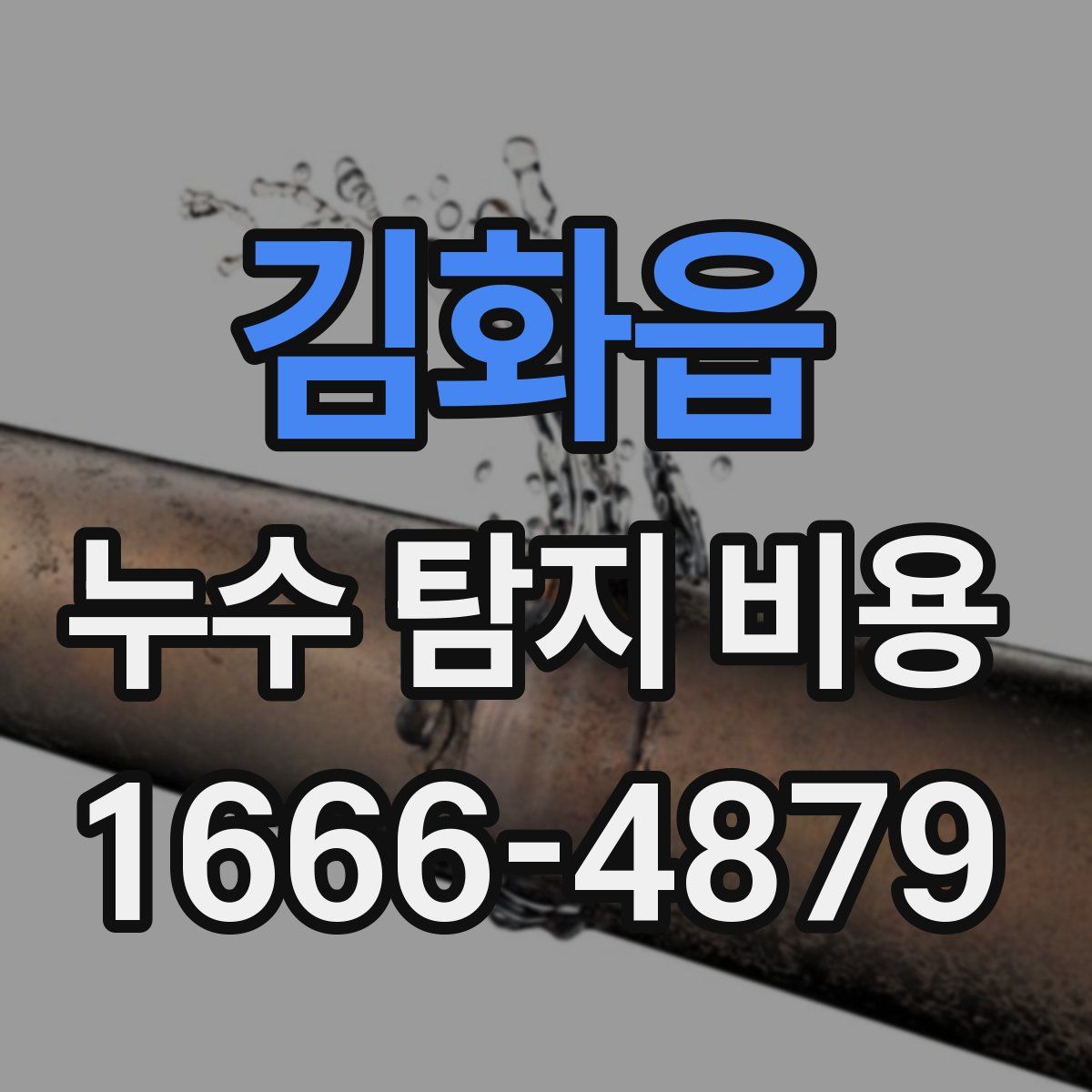 김화읍 누수 탐지 비용