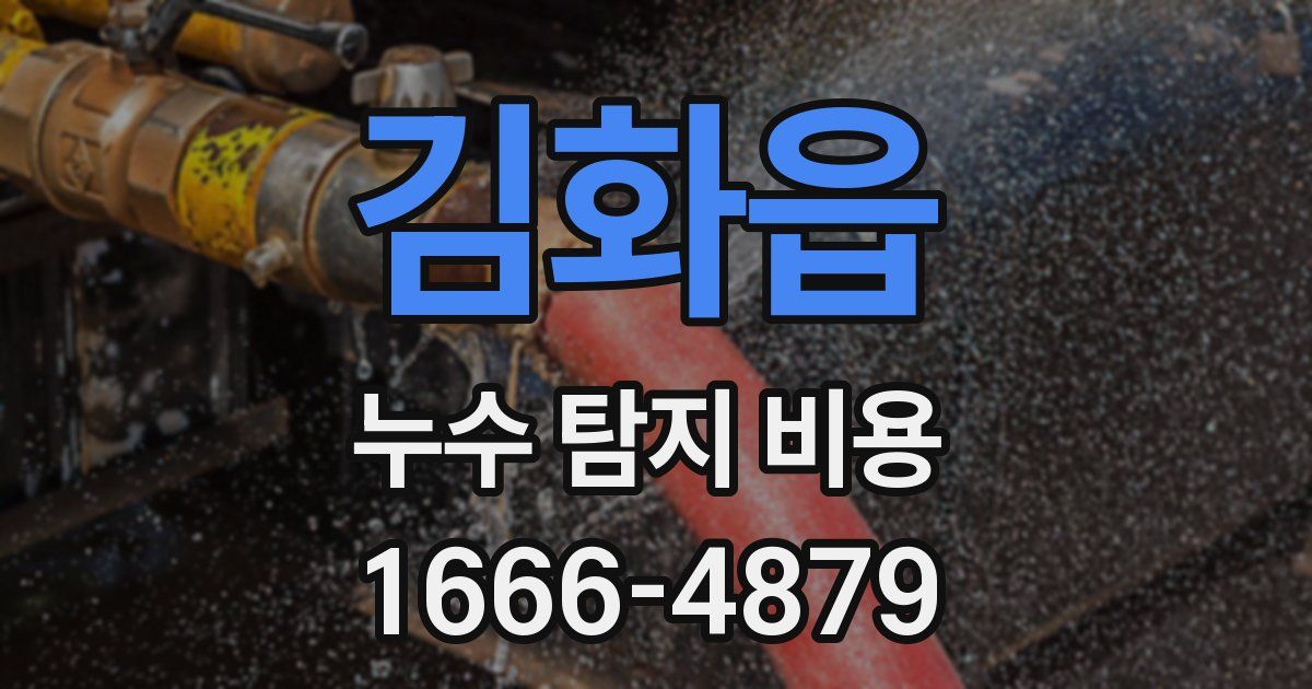 김화읍 누수 탐지 비용